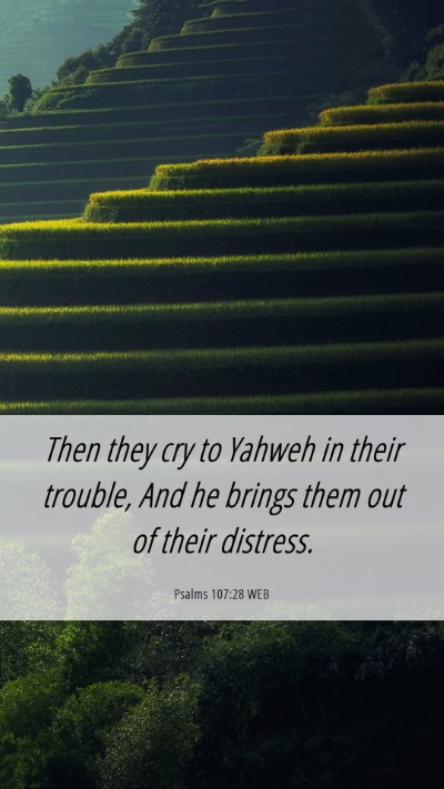 Picture 06 - Psalms 107:28 WEB Mobile Phone Wallpaper - Then they cry to Yahweh in their trouble, And he - Mobile Bible Verse Wallpaper