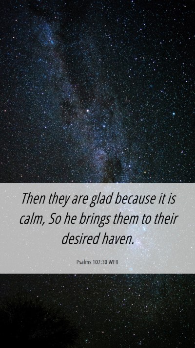 Picture 06 - Psalms 107:30 WEB Mobile Phone Wallpaper - Then they are glad because it is calm, So he - Mobile Bible Verse Wallpaper