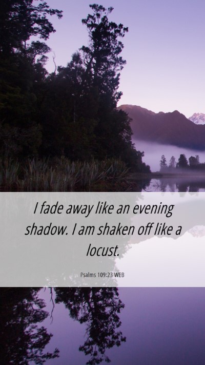 Picture 06 - Psalms 109:23 WEB Mobile Phone Wallpaper - I fade away like an evening shadow. I am shaken - Mobile Bible Verse Wallpaper