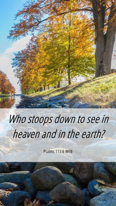 Picture 06 - Psalms 113:6 WEB Mobile Phone Wallpaper - Who stoops down to see in heaven and in the - Mobile Bible Verse Wallpaper