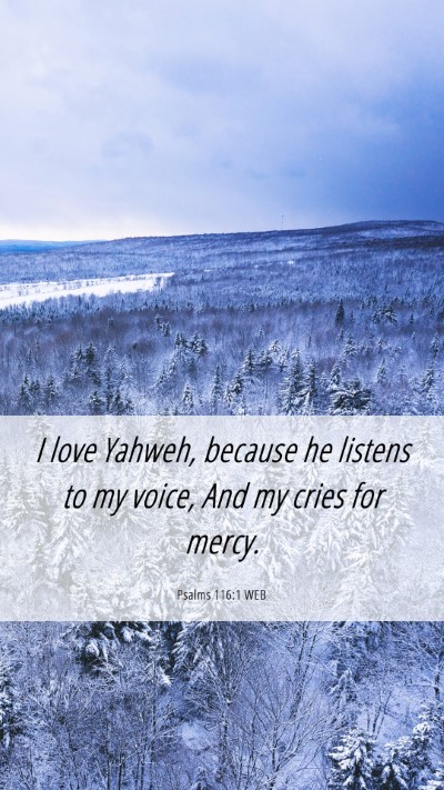 Picture 06 - Psalms 116:1 WEB Mobile Phone Wallpaper - I love Yahweh, because he listens to my voice, - Mobile Bible Verse Wallpaper