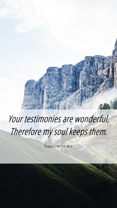 Picture 06 - Psalms 119:129 WEB Mobile Phone Wallpaper - Your testimonies are wonderful, Therefore my soul - Mobile Bible Verse Wallpaper