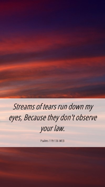 Picture 06 - Psalms 119:136 WEB Mobile Phone Wallpaper - Streams of tears run down my eyes, Because they - Mobile Bible Verse Wallpaper