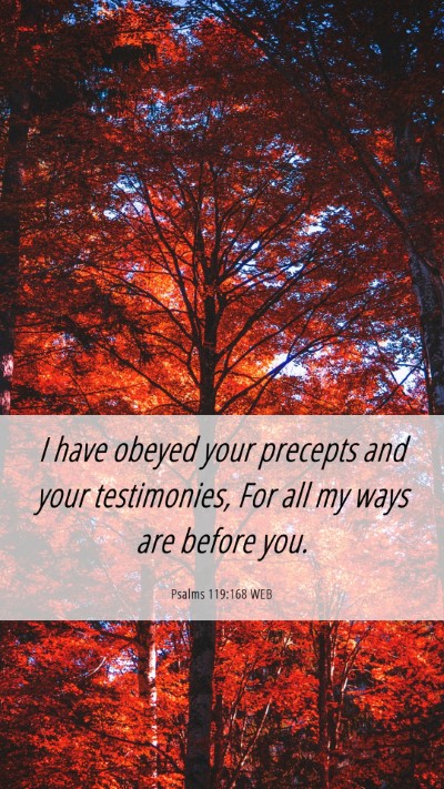 Picture 06 - Psalms 119:168 WEB Mobile Phone Wallpaper - I have obeyed your precepts and your testimonies, - Mobile Bible Verse Wallpaper