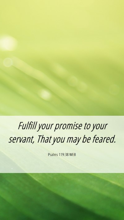 Picture 06 - Psalms 119:38 WEB Mobile Phone Wallpaper - Fulfill your promise to your servant, That you - Mobile Bible Verse Wallpaper