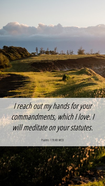 Picture 06 - Psalms 119:48 WEB Mobile Phone Wallpaper - I reach out my hands for your commandments, which - Mobile Bible Verse Wallpaper