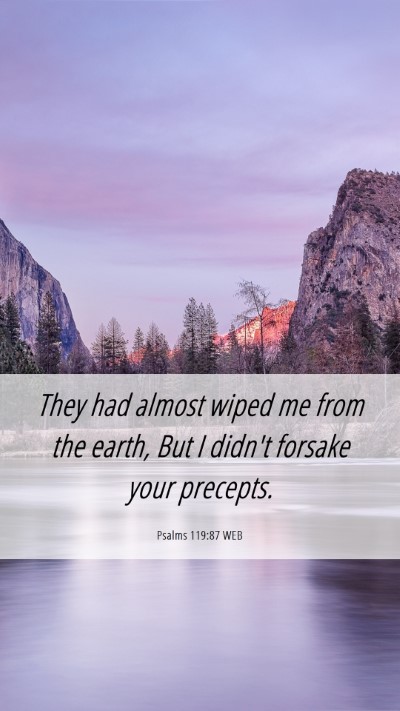 Picture 06 - Psalms 119:87 WEB Mobile Phone Wallpaper - They had almost wiped me from the earth, But I - Mobile Bible Verse Wallpaper