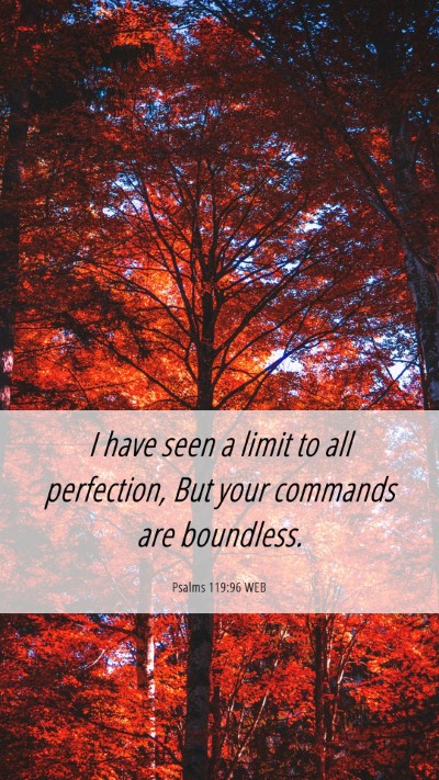 Picture 06 - Psalms 119:96 WEB Mobile Phone Wallpaper - I have seen a limit to all perfection, But your - Mobile Bible Verse Wallpaper