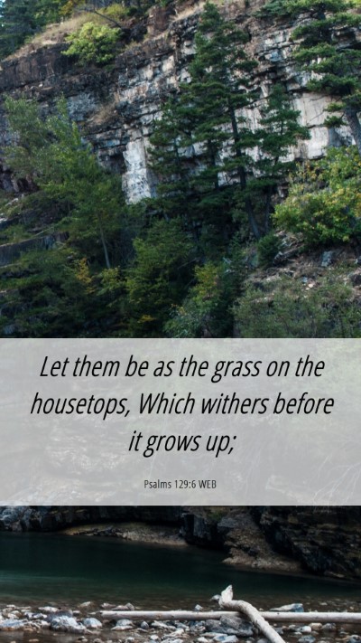 Picture 06 - Psalms 129:6 WEB Mobile Phone Wallpaper - Let them be as the grass on the housetops, Which - Mobile Bible Verse Wallpaper
