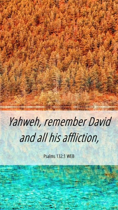 Picture 06 - Psalms 132:1 WEB Mobile Phone Wallpaper - Yahweh, remember David and all his - Mobile Bible Verse Wallpaper