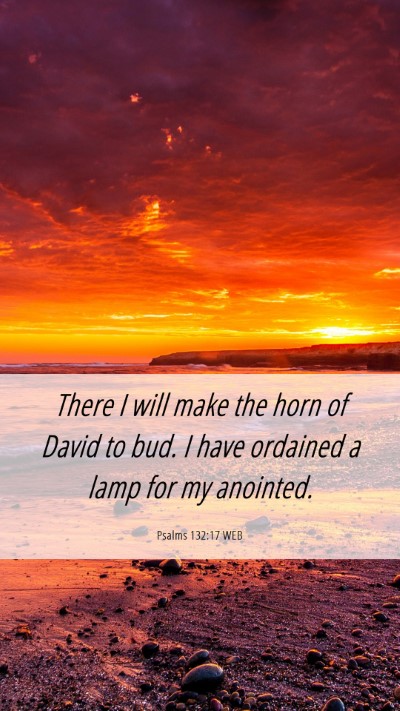 Picture 06 - Psalms 132:17 WEB Mobile Phone Wallpaper - There I will make the horn of David to bud. I - Mobile Bible Verse Wallpaper