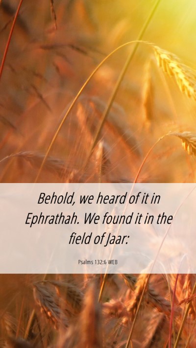 Picture 06 - Psalms 132:6 WEB Mobile Phone Wallpaper - Behold, we heard of it in Ephrathah. We found it - Mobile Bible Verse Wallpaper