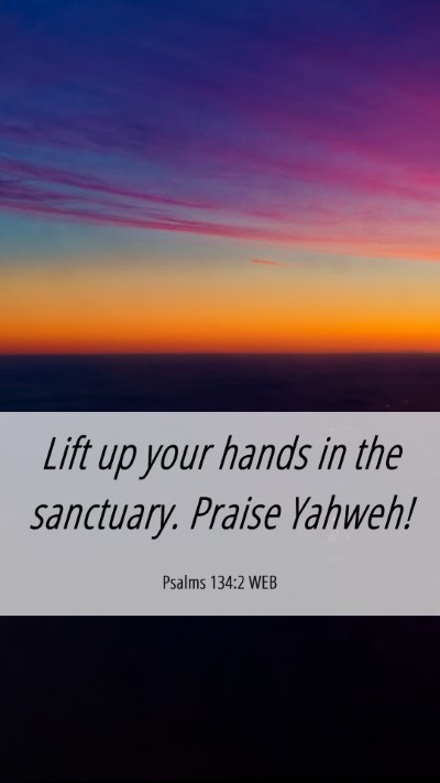 Picture 06 - Psalms 134:2 WEB Mobile Phone Wallpaper - Lift up your hands in the sanctuary. Praise - Mobile Bible Verse Wallpaper