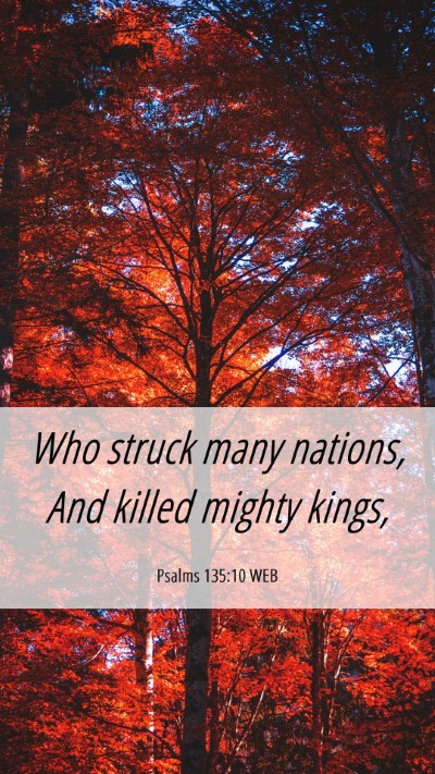 Picture 06 - Psalms 135:10 WEB Mobile Phone Wallpaper - Who struck many nations, And killed mighty - Mobile Bible Verse Wallpaper