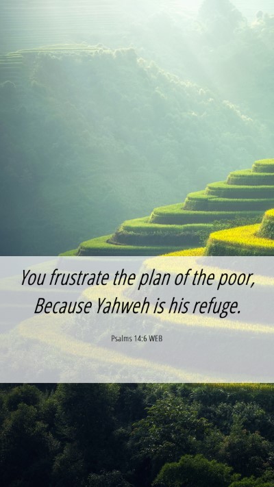 Picture 06 - Psalms 14:6 WEB Mobile Phone Wallpaper - You frustrate the plan of the poor, Because - Mobile Bible Verse Wallpaper