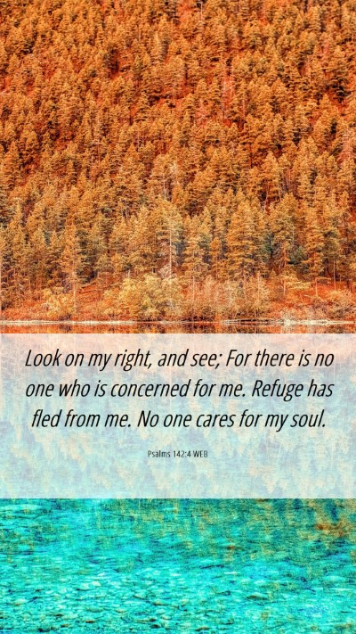 Picture 06 - Psalms 142:4 WEB Mobile Phone Wallpaper - Look on my right, and see; For there is no one - Mobile Bible Verse Wallpaper