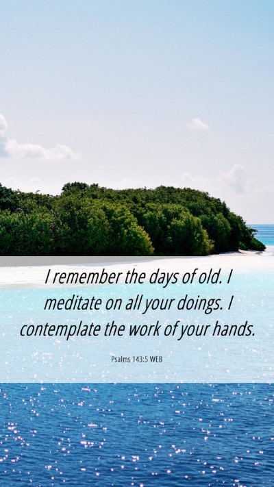 Picture 06 - Psalms 143:5 WEB Mobile Phone Wallpaper - I remember the days of old. I meditate on all - Mobile Bible Verse Wallpaper