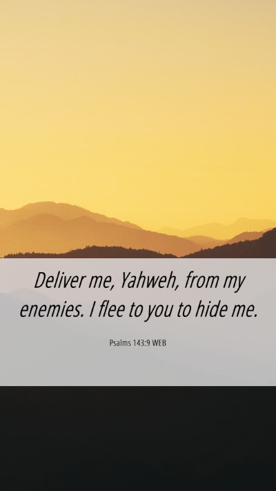 Picture 06 - Psalms 143:9 WEB Mobile Phone Wallpaper - Deliver me, Yahweh, from my enemies. I flee to - Mobile Bible Verse Wallpaper