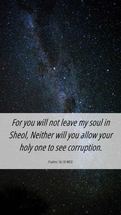 Picture 06 - Psalms 16:10 WEB Mobile Phone Wallpaper - For you will not leave my soul in Sheol, Neither - Mobile Bible Verse Wallpaper
