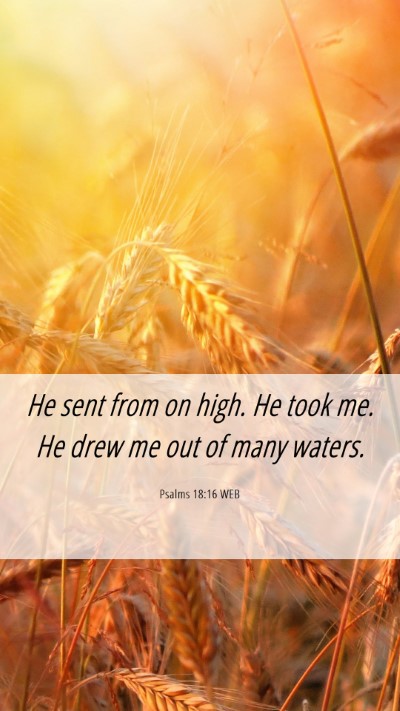 Picture 06 - Psalms 18:16 WEB Mobile Phone Wallpaper - He sent from on high. He took me. He drew me out - Mobile Bible Verse Wallpaper