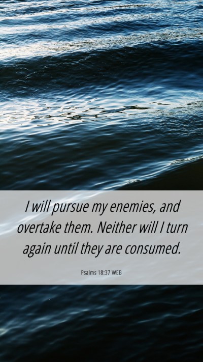 Picture 06 - Psalms 18:37 WEB Mobile Phone Wallpaper - I will pursue my enemies, and overtake them. - Mobile Bible Verse Wallpaper