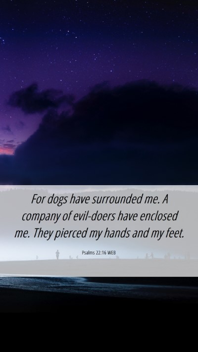 Picture 06 - Psalms 22:16 WEB Mobile Phone Wallpaper - For dogs have surrounded me. A company of - Mobile Bible Verse Wallpaper