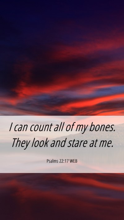 Picture 06 - Psalms 22:17 WEB Mobile Phone Wallpaper - I can count all of my bones. They look and stare - Mobile Bible Verse Wallpaper