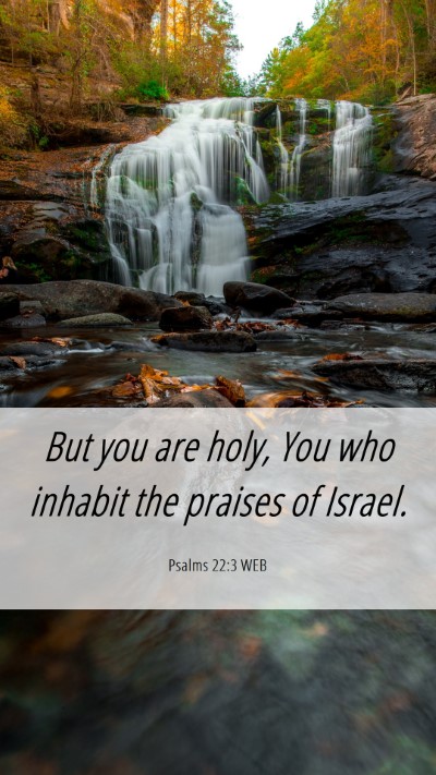 Picture 06 - Psalms 22:3 WEB Mobile Phone Wallpaper - But you are holy, You who inhabit the praises of - Mobile Bible Verse Wallpaper