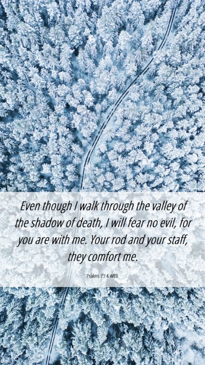 Picture 06 - Psalms 23:4 WEB Mobile Phone Wallpaper - Even though I walk through the valley of the - Mobile Bible Verse Wallpaper