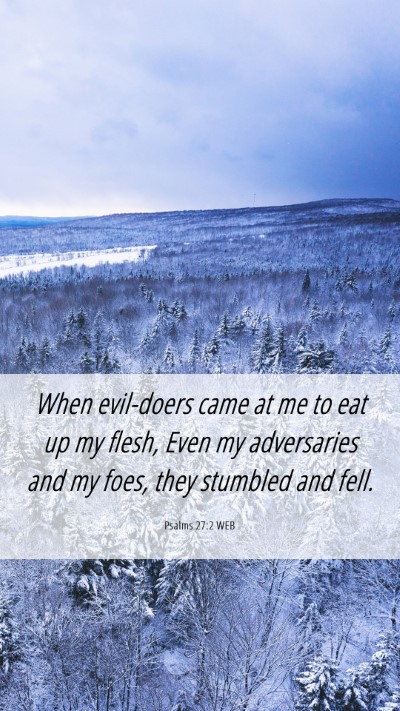 Picture 06 - Psalms 27:2 WEB Mobile Phone Wallpaper - When evil-doers came at me to eat up my flesh, - Mobile Bible Verse Wallpaper