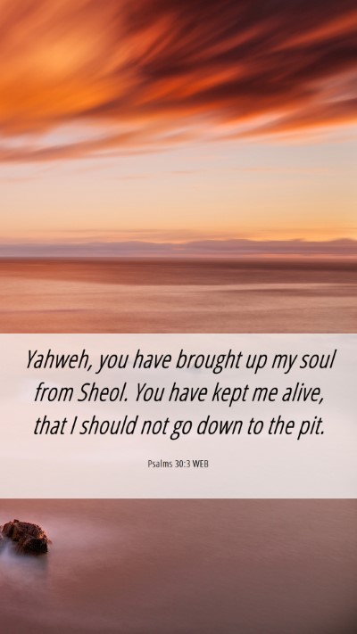 Picture 06 - Psalms 30:3 WEB Mobile Phone Wallpaper - Yahweh, you have brought up my soul from Sheol. - Mobile Bible Verse Wallpaper