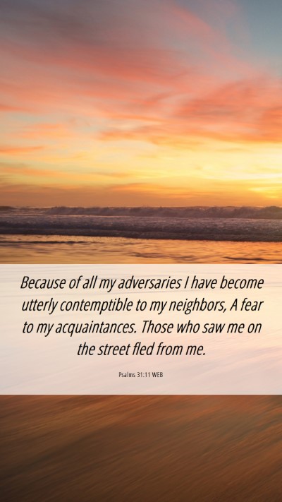 Picture 06 - Psalms 31:11 WEB Mobile Phone Wallpaper - Because of all my adversaries I have become - Mobile Bible Verse Wallpaper