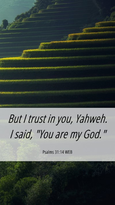 Picture 06 - Psalms 31:14 WEB Mobile Phone Wallpaper - But I trust in you, Yahweh. I said, 