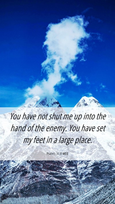 Picture 06 - Psalms 31:8 WEB Mobile Phone Wallpaper - You have not shut me up into the hand of the - Mobile Bible Verse Wallpaper