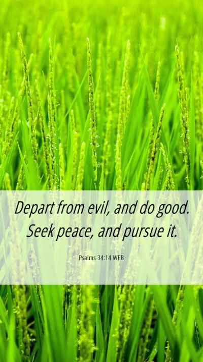 Picture 06 - Psalms 34:14 WEB Mobile Phone Wallpaper - Depart from evil, and do good. Seek peace, and - Mobile Bible Verse Wallpaper