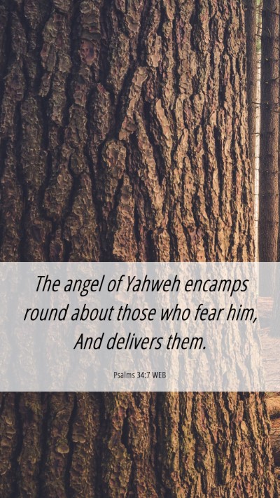 Picture 06 - Psalms 34:7 WEB Mobile Phone Wallpaper - The angel of Yahweh encamps round about those who - Mobile Bible Verse Wallpaper