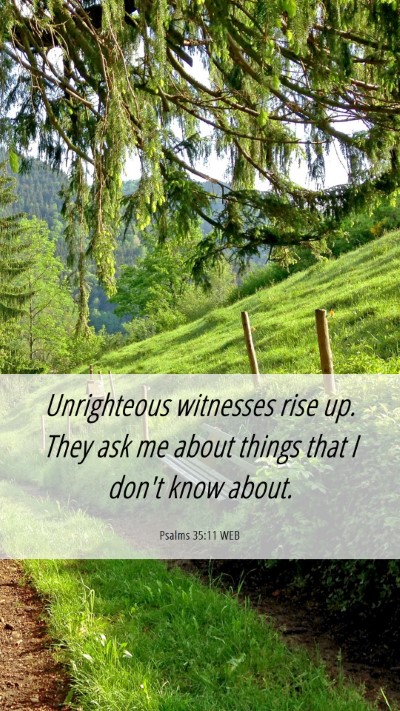 Picture 06 - Psalms 35:11 WEB Mobile Phone Wallpaper - Unrighteous witnesses rise up. They ask me about - Mobile Bible Verse Wallpaper