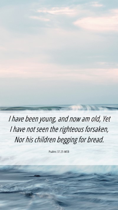 Picture 06 - Psalms 37:25 WEB Mobile Phone Wallpaper - I have been young, and now am old, Yet I have not - Mobile Bible Verse Wallpaper