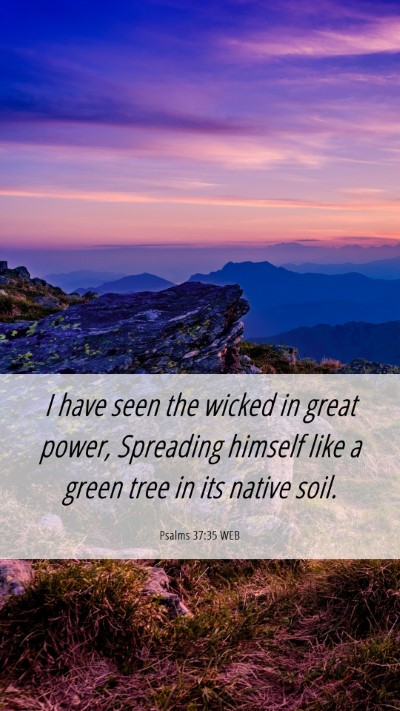 Picture 06 - Psalms 37:35 WEB Mobile Phone Wallpaper - I have seen the wicked in great power, Spreading - Mobile Bible Verse Wallpaper
