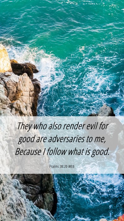 Picture 06 - Psalms 38:20 WEB Mobile Phone Wallpaper - They who also render evil for good are - Mobile Bible Verse Wallpaper