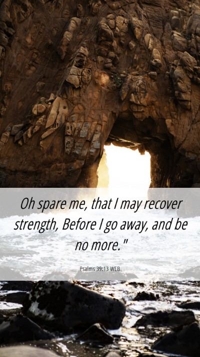 Picture 06 - Psalms 39:13 WEB Mobile Phone Wallpaper - Oh spare me, that I may recover strength, Before - Mobile Bible Verse Wallpaper