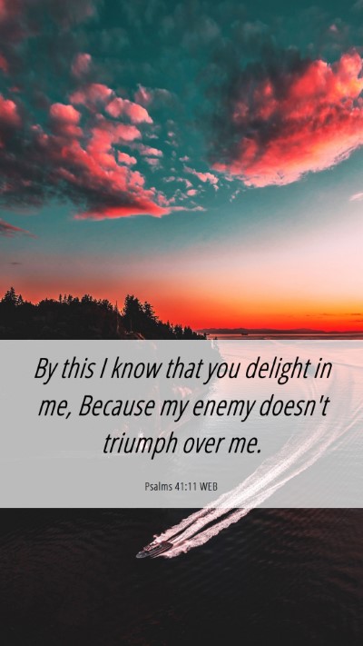 Picture 06 - Psalms 41:11 WEB Mobile Phone Wallpaper - By this I know that you delight in me, Because my - Mobile Bible Verse Wallpaper