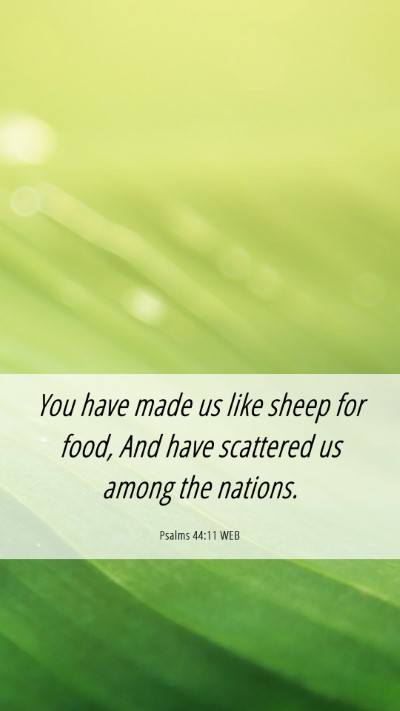 Picture 06 - Psalms 44:11 WEB Mobile Phone Wallpaper - You have made us like sheep for food, And have - Mobile Bible Verse Wallpaper