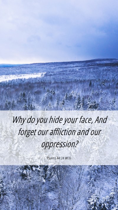 Picture 06 - Psalms 44:24 WEB Mobile Phone Wallpaper - Why do you hide your face, And forget our - Mobile Bible Verse Wallpaper