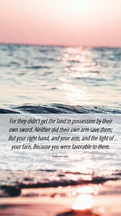 Picture 06 - Psalms 44:3 WEB Mobile Phone Wallpaper - For they didn't get the land in possession by - Mobile Bible Verse Wallpaper