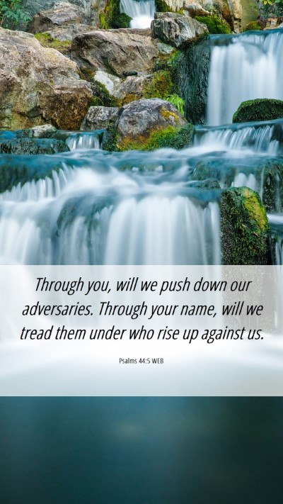 Picture 06 - Psalms 44:5 WEB Mobile Phone Wallpaper - Through you, will we push down our adversaries. - Mobile Bible Verse Wallpaper