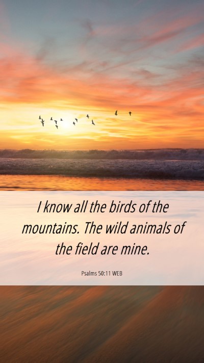 Picture 06 - Psalms 50:11 WEB Mobile Phone Wallpaper - I know all the birds of the mountains. The wild - Mobile Bible Verse Wallpaper