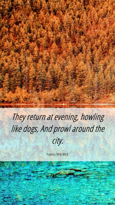 Picture 06 - Psalms 59:6 WEB Mobile Phone Wallpaper - They return at evening, howling like dogs, And - Mobile Bible Verse Wallpaper