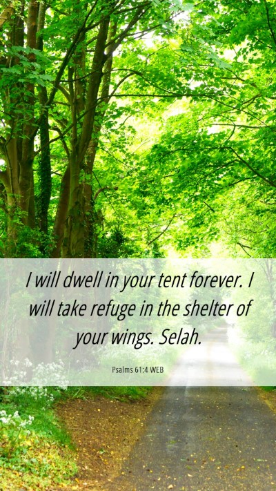 Picture 06 - Psalms 61:4 WEB Mobile Phone Wallpaper - I will dwell in your tent forever. I will take - Mobile Bible Verse Wallpaper