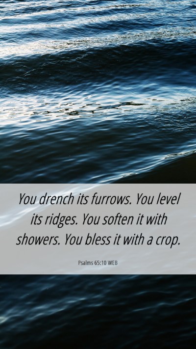Picture 06 - Psalms 65:10 WEB Mobile Phone Wallpaper - You drench its furrows. You level its ridges. You - Mobile Bible Verse Wallpaper